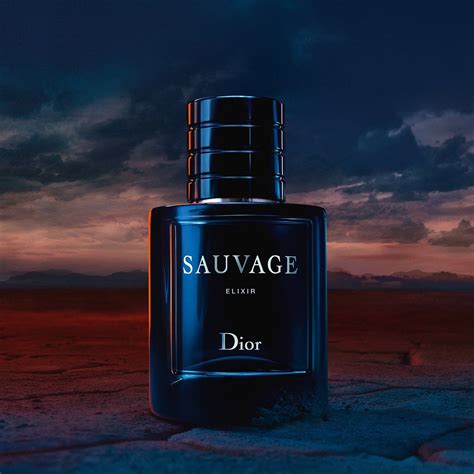 what smells like dior sauvage|fragrances like dior sauvage.